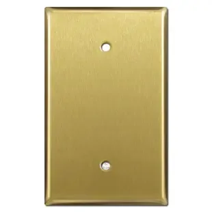 1 Blank Oversized Switch Plate Cover – Satin Brass
