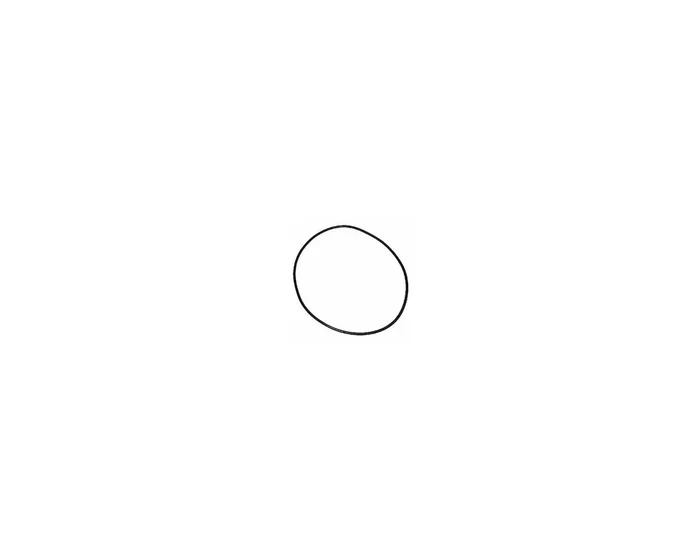 1600210033 O-ring – Bosch