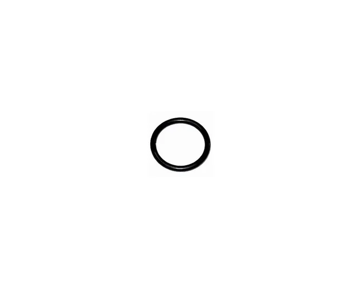 1610210045 O-ring – Bosch