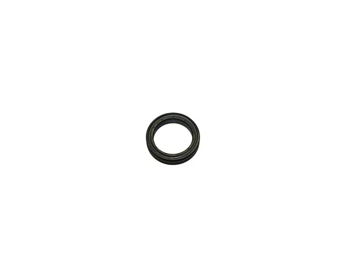 1610290065 Seal Ring – Bosch