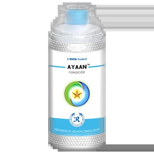 Ayaan Fungicide – Triple Action Control for Paddy Diseases