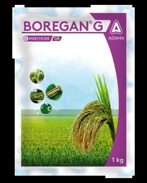 BOREGAN G | INSECTICIDE