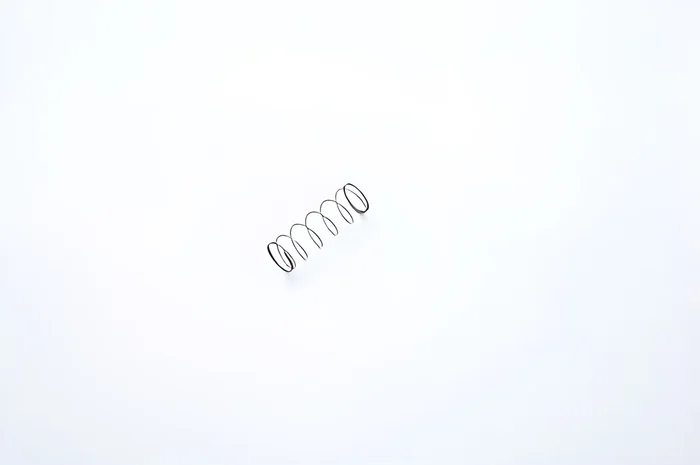 Bradley Valve Spring for Commercial Washroom Accessories