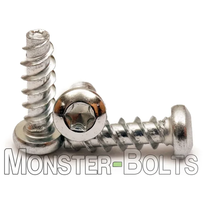Bulk #4-20 6-Lobe (Torx) Pan Head PT 48-2 Thread-Forming Screws – 18-8 Stainless Steel