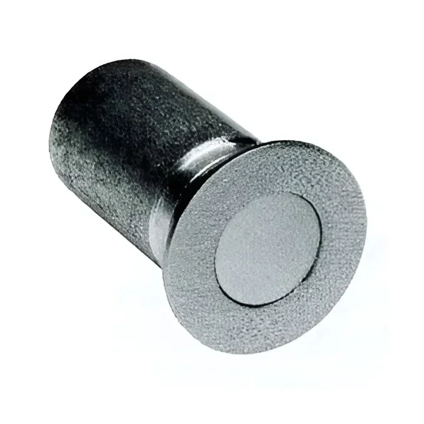 Dust Proof Strike for Threshold Only – Satin Chrome Finish by Ives Commercial