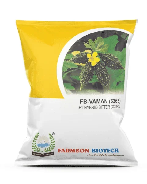 FB-VAMAN 6365 Bitter Gourd – Small Fruit, Dark Green, Year-Round