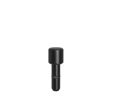 Fixing Bolt Ø 17,8 for bore 10.1 – Burnished