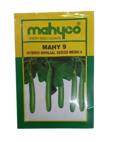 MAHY 9 HYBRID BRINJAL SEEDS.
