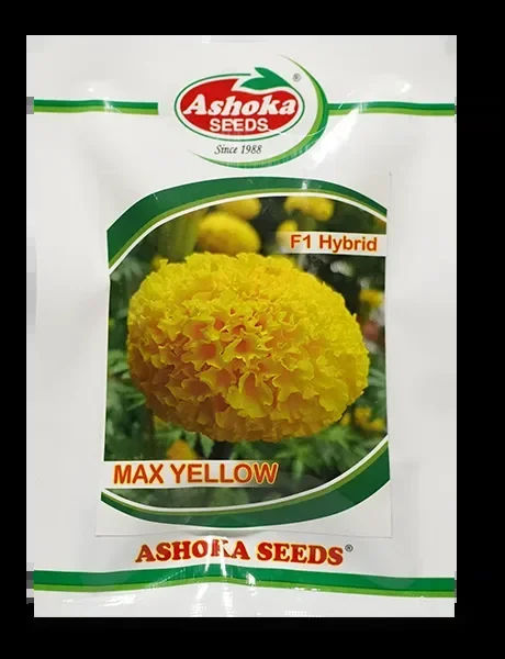 Max Yellow Marigold Seeds – Compact Plants, Early Flowering, Bright Yellow