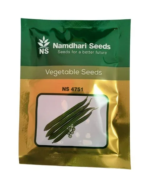NS 4751 F1 Hybrid Ridge Gourd Seeds