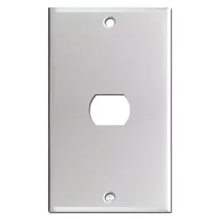 One Despard Interchangeable Switch Plate – Brushed Aluminum