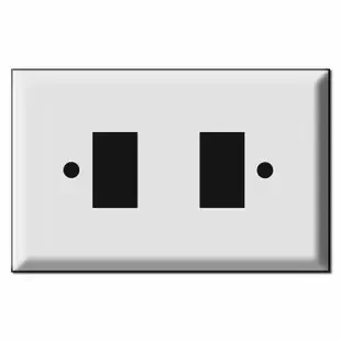 Oversized New Style 2 Switch GE Low Voltage Wallplates