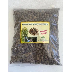 PIONEER AGRO BURMA TEAK WOOD TREE (SEEDS)