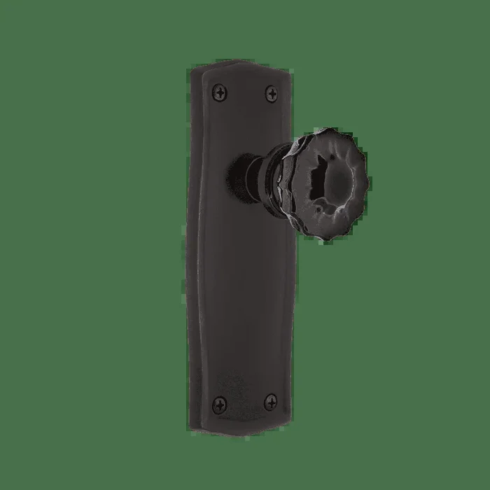Prairie Long Plate with Black Crystal Knob in Timeless Bronze