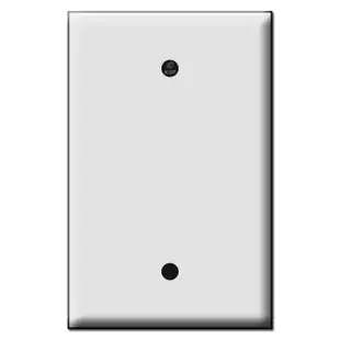 Quality Single Blank Plastic Mid Size Switch Plates