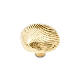 RK International Shell Knob 1-3/8″ (35mm) Diameter in Polished Brass
