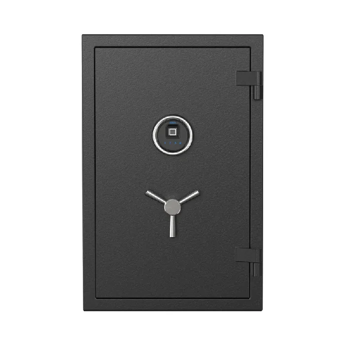 RPNB Biometric RPFS66 Fireproof Safe