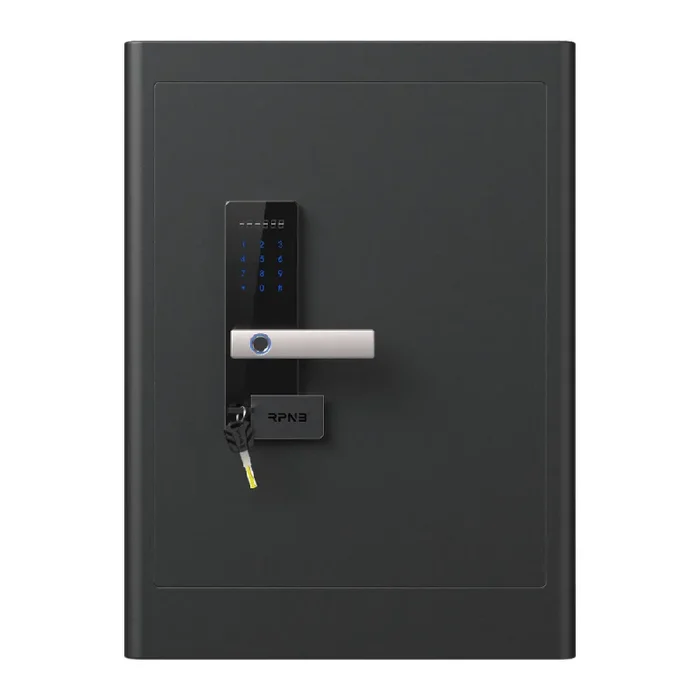 RPNB Biometric RPHS60 Home Safe