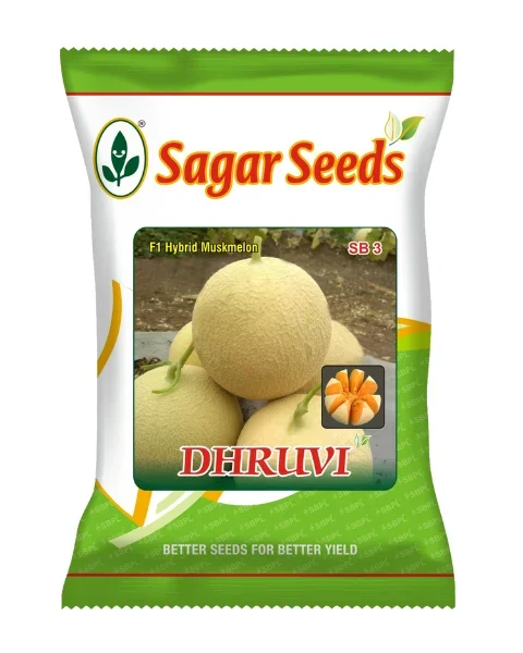 Sagar Dhruvi F1 Muskmelon Seeds