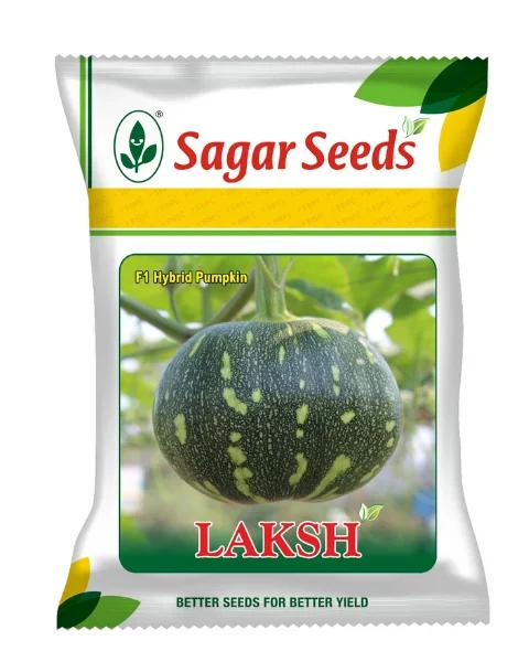 Sagar Laksh F1 Pumpkin Seeds- Early, High Yield, Dark Green, Flat Round, 2.5-3kg