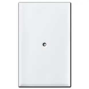 Specialized Center Screw Blank Outlet Cover Plate – White