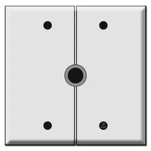 Split 2-Gang Grommet Switch Plate with 1/2″ Opening