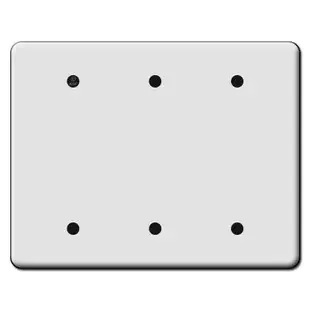 Tall 3 Blank Switch Plate Covers