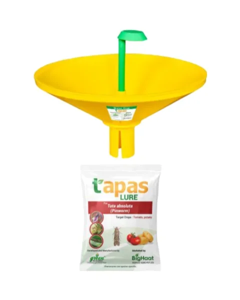 Tapas Water Trap with Tu-Tom Lure (Tuta absoluta) Combo