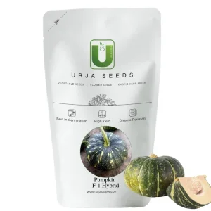 URJA US-64 – PUMPKIN F-1 HYBRID SEEDS (SMALL)