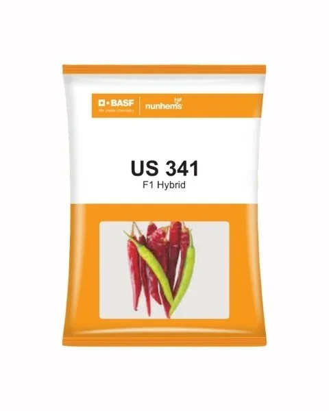 US 341 Chilli Seeds by Nunhems – Early maturity, Semi- Erect, High Color Content