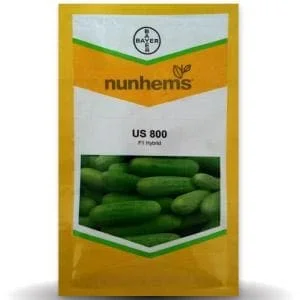 US 800 CUCUMBER